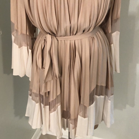 Beautiful BCBGMaxAzria Dress - Picture 3 of 6